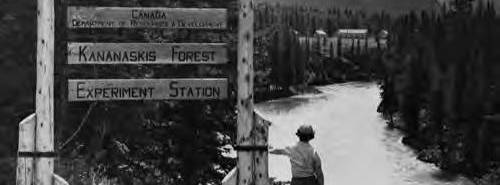 Cover for Kananaskis Forest Experimental Station (KFES) and P.O.W Camp 130 History Trail